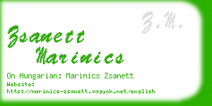zsanett marinics business card